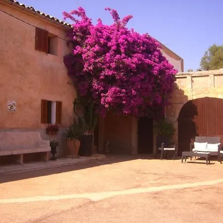 Rotger Holiday home